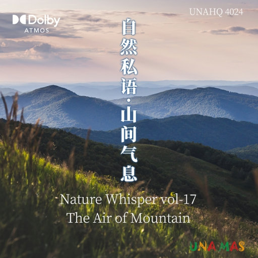 ，前凸后翘的伦理片
